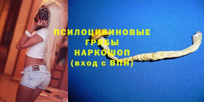 Псилоцибиновые грибы Magic Shrooms  Москва 